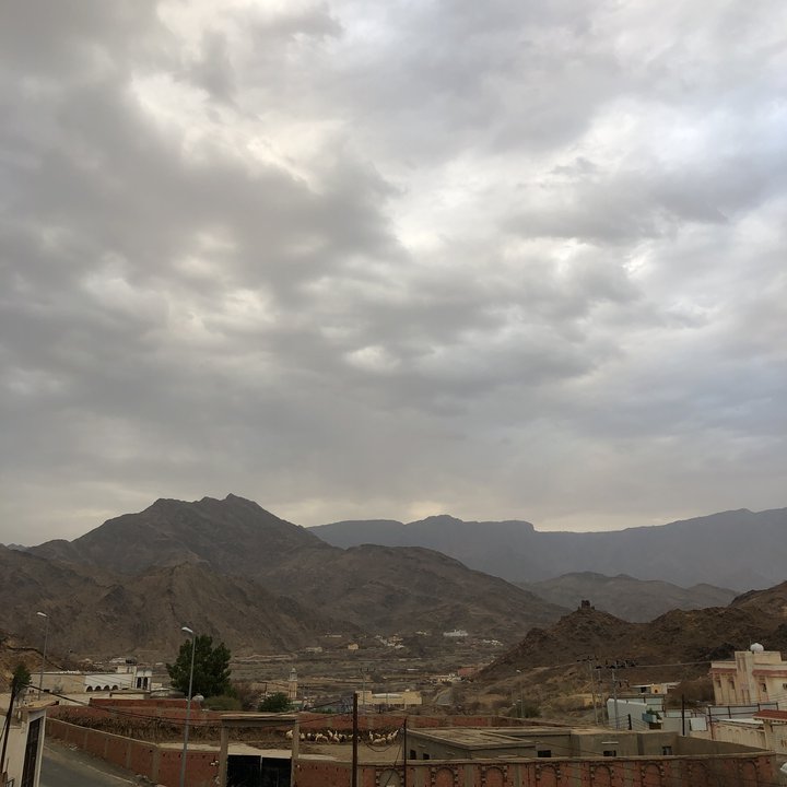 مشاركاتي في أنت الراصد