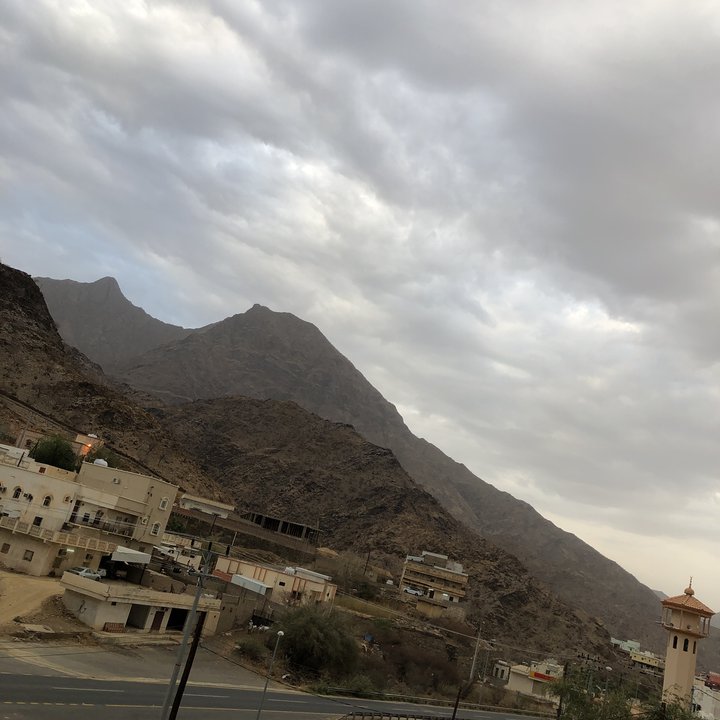 مشاركاتي في أنت الراصد