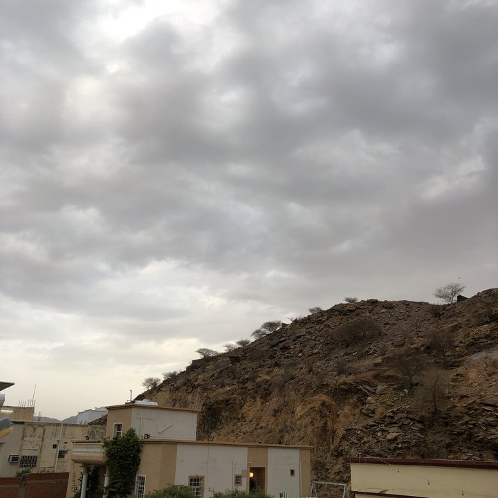 مشاركاتي في أنت الراصد