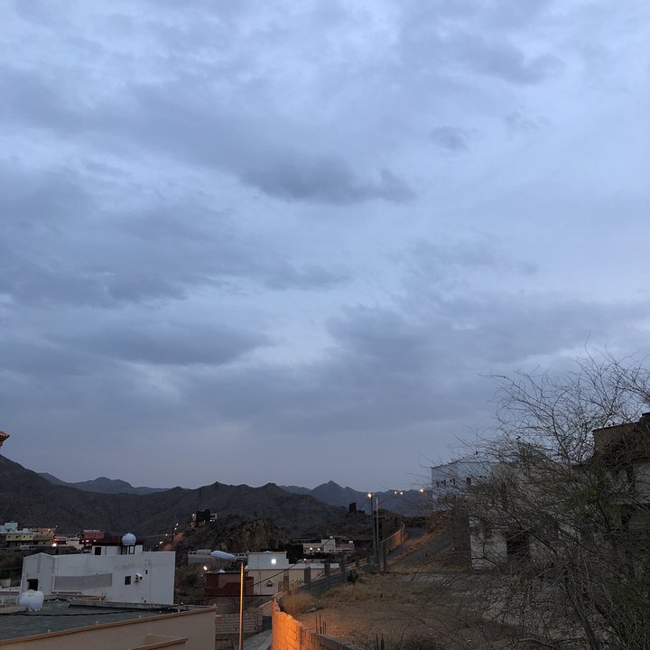 مشاركاتي في أنت الراصد