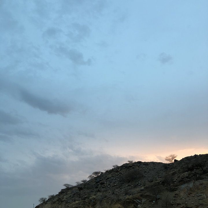 مشاركاتي في أنت الراصد