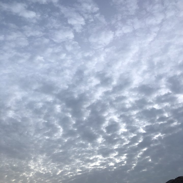 مشاركاتي في أنت الراصد