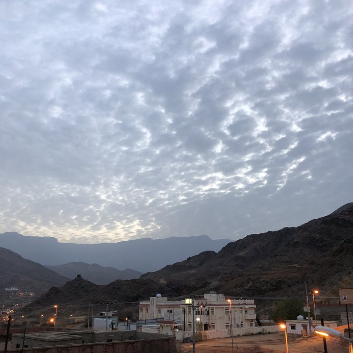 مشاركاتي في أنت الراصد