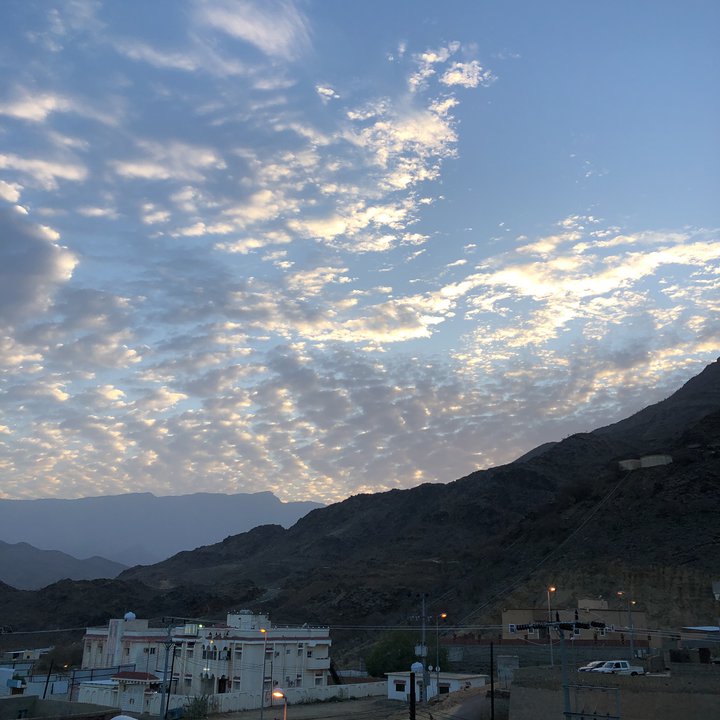 مشاركاتي في أنت الراصد