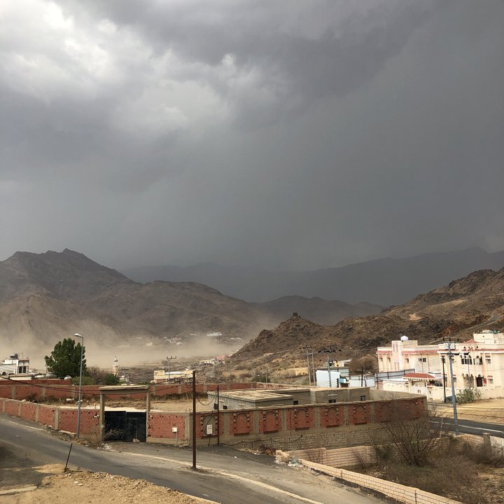 مشاركاتي في أنت الراصد