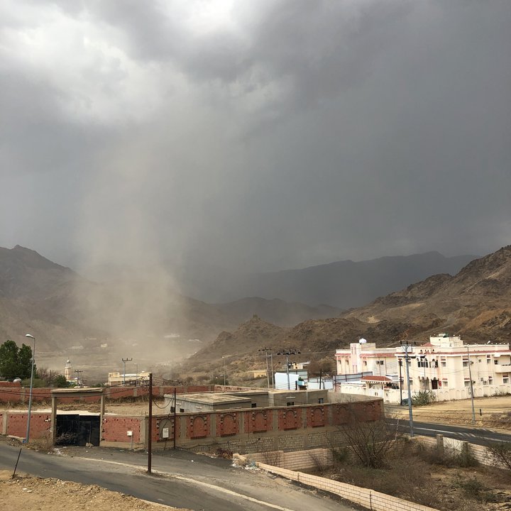 مشاركاتي في أنت الراصد