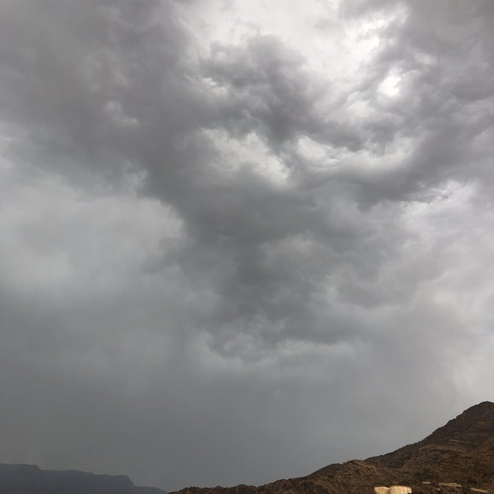 مشاركاتي في أنت الراصد