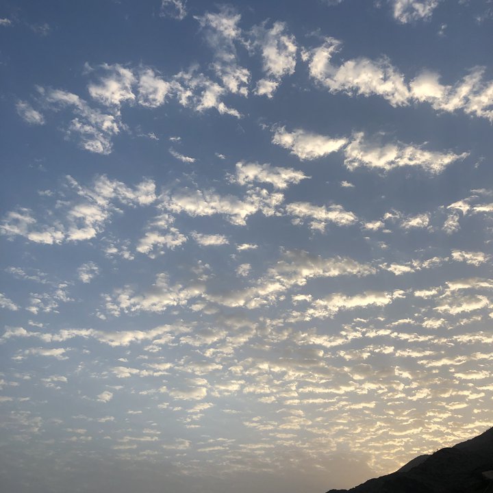 مشاركاتي في أنت الراصد