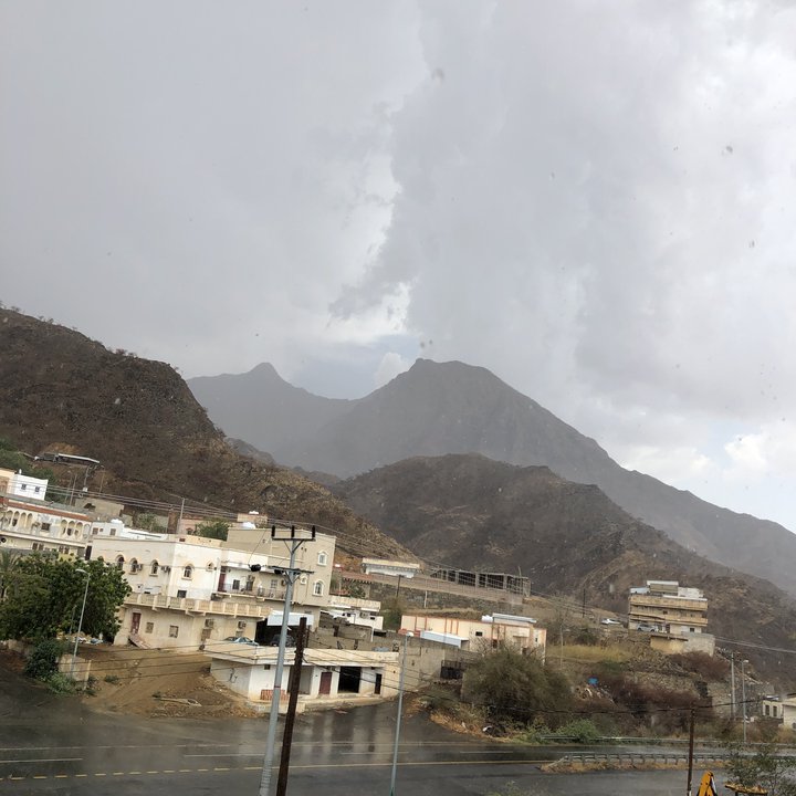 مشاركاتي في أنت الراصد