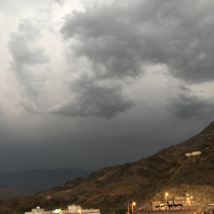 مشاركاتي في أنت الراصد