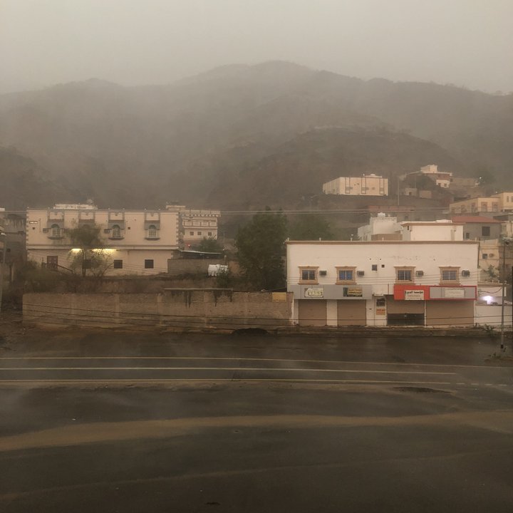 مشاركاتي في أنت الراصد