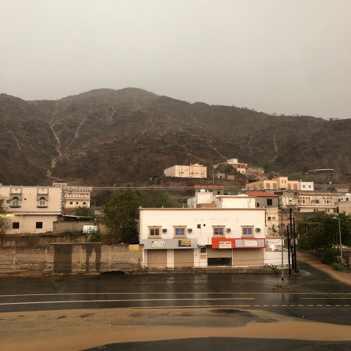 مشاركاتي في أنت الراصد