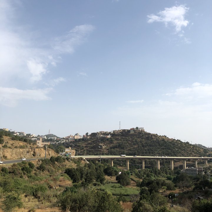 مشاركاتي في أنت الراصد