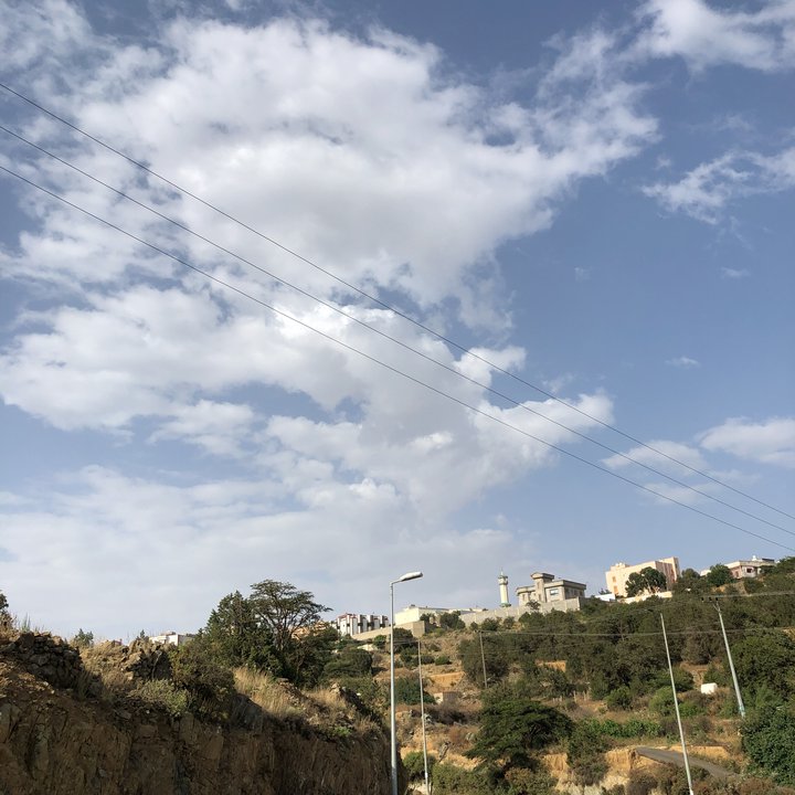 مشاركاتي في أنت الراصد