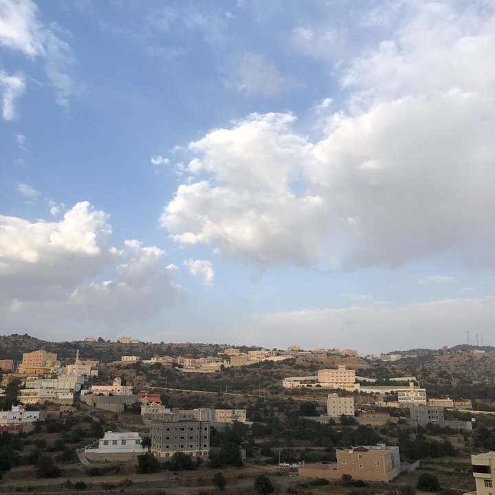 مشاركاتي في أنت الراصد