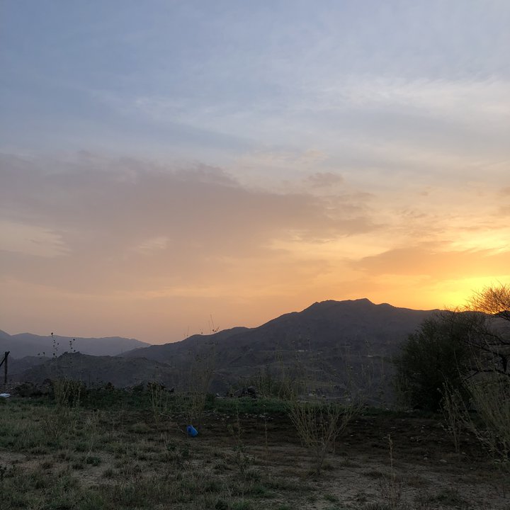 مشاركاتي في أنت الراصد