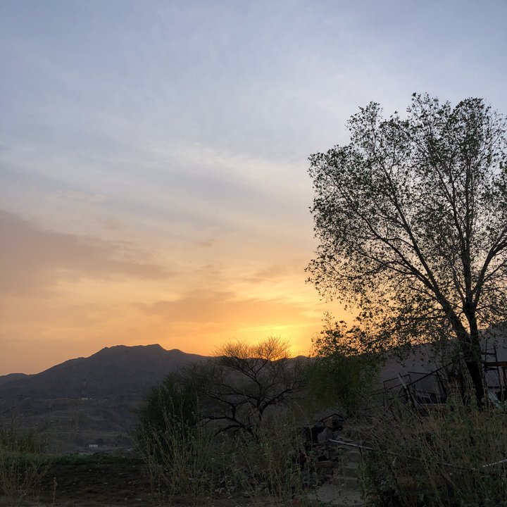 مشاركاتي في أنت الراصد