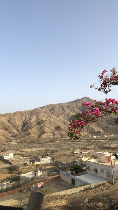 مشاركاتي في أنت الراصد