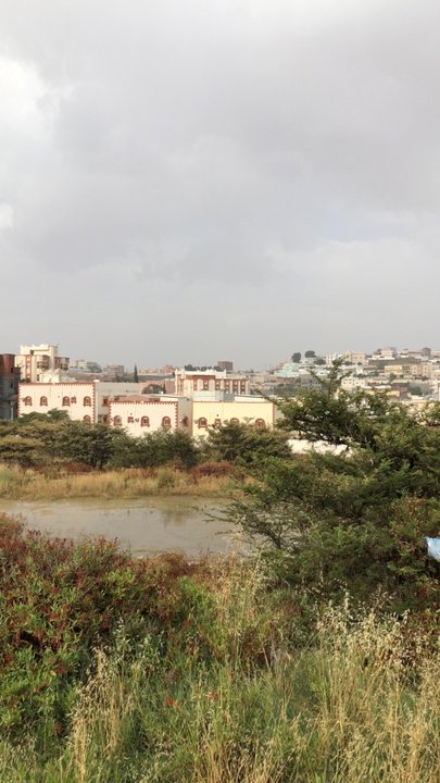 مشاركاتي في أنت الراصد