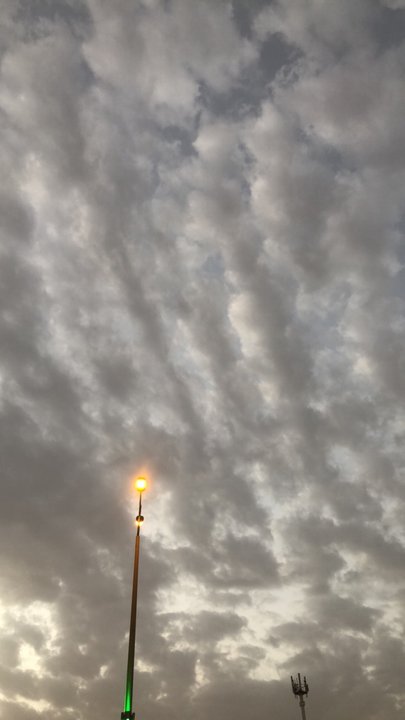 مشاركاتي في أنت الراصد