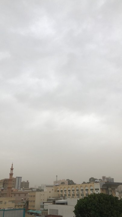 مشاركاتي في أنت الراصد