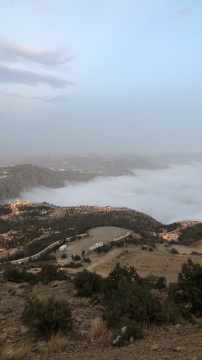 مشاركاتي في أنت الراصد