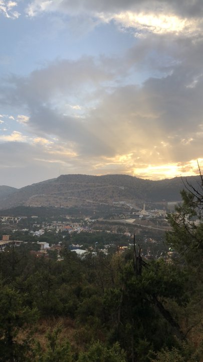 مشاركاتي في أنت الراصد