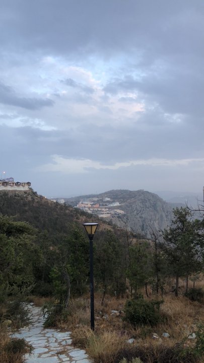 مشاركاتي في أنت الراصد