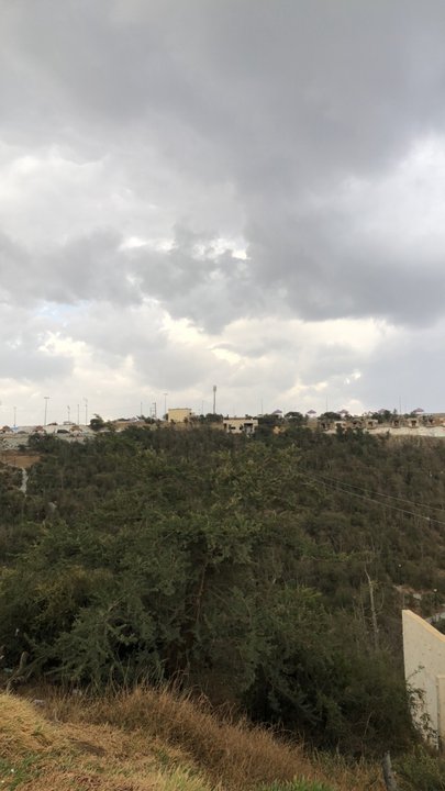 مشاركاتي في أنت الراصد