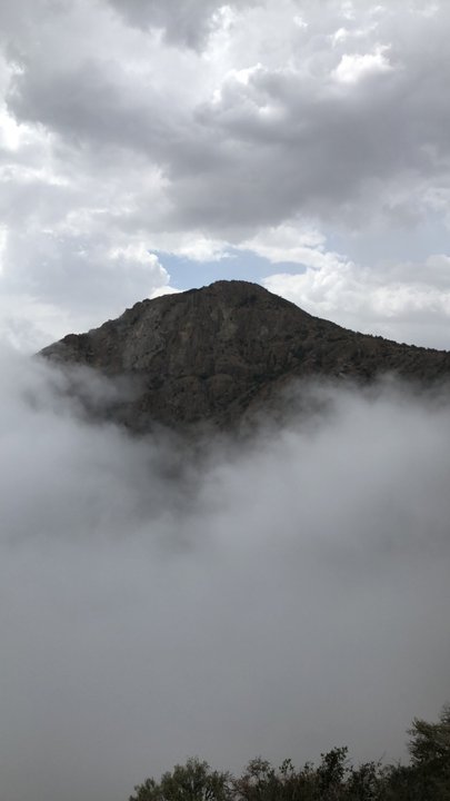 مشاركاتي في أنت الراصد