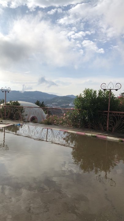 مشاركاتي في أنت الراصد