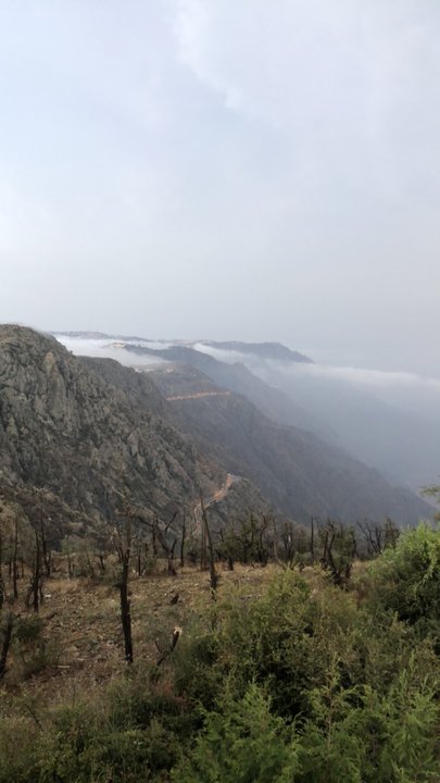 مشاركاتي في أنت الراصد