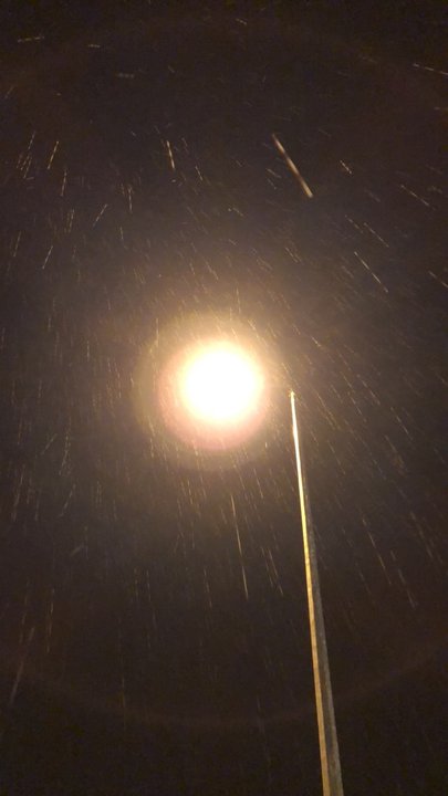 مشاركاتي في أنت الراصد