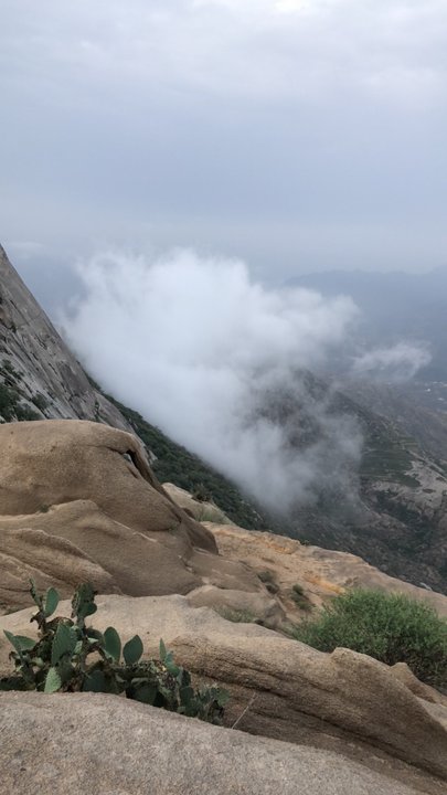 مشاركاتي في أنت الراصد