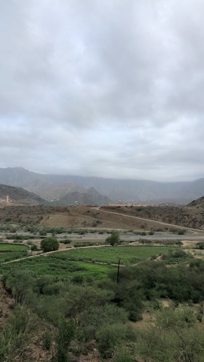 مشاركاتي في أنت الراصد