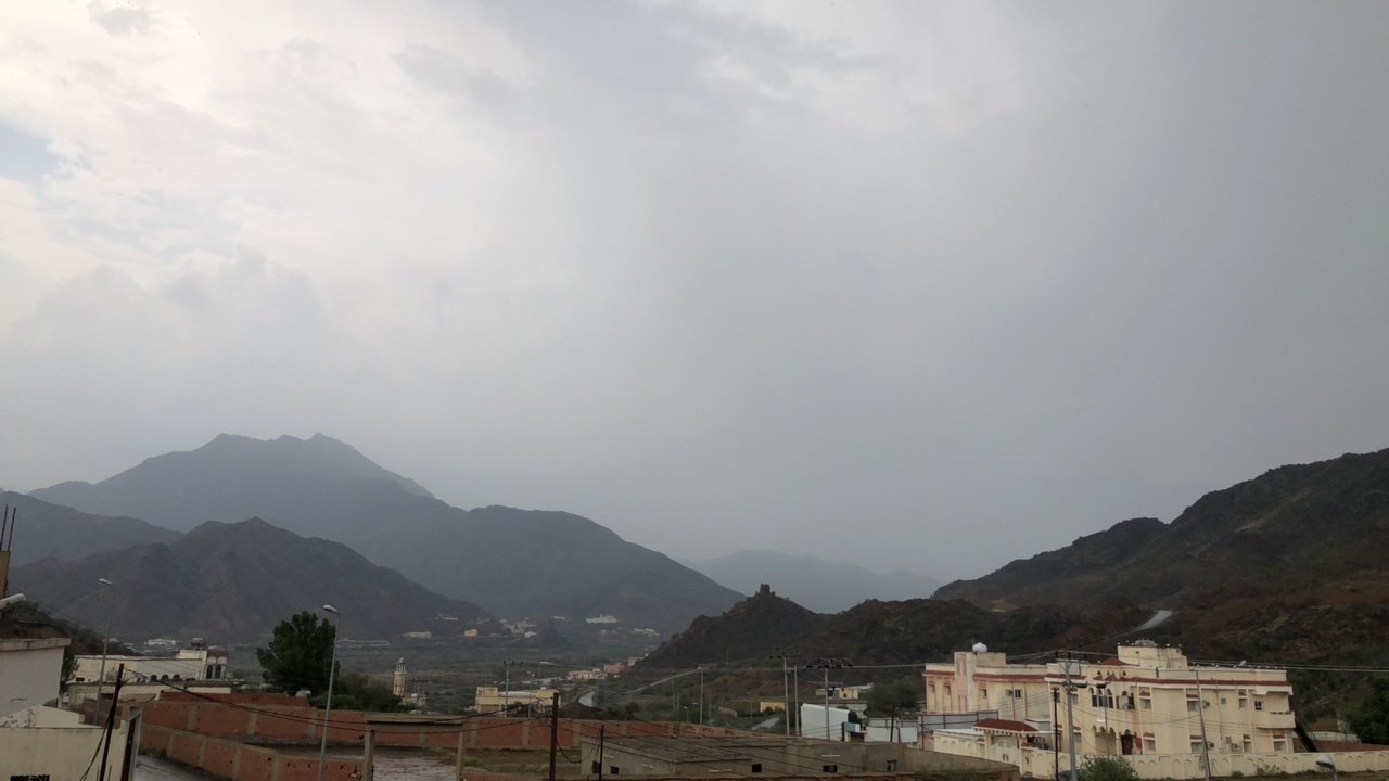 مشاركاتي في أنت الراصد