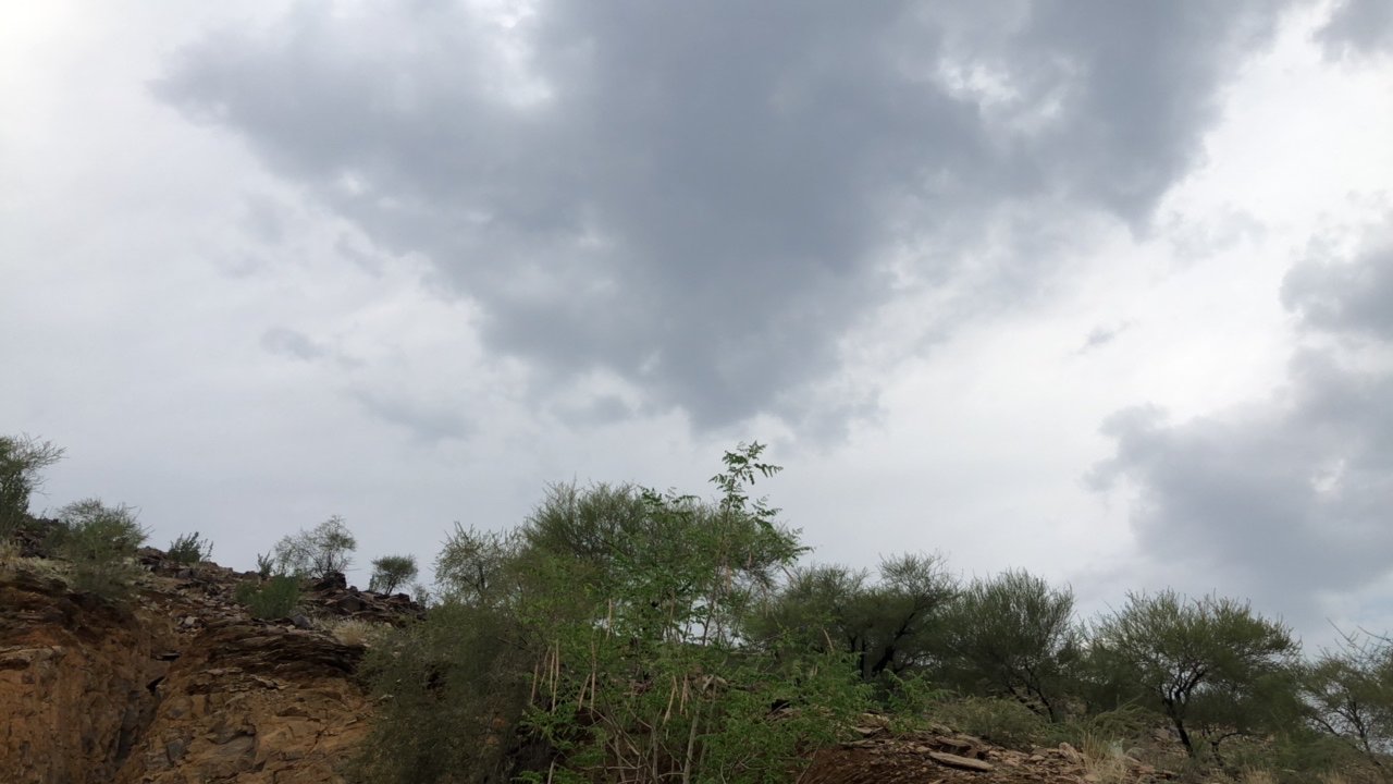 مشاركاتي في أنت الراصد