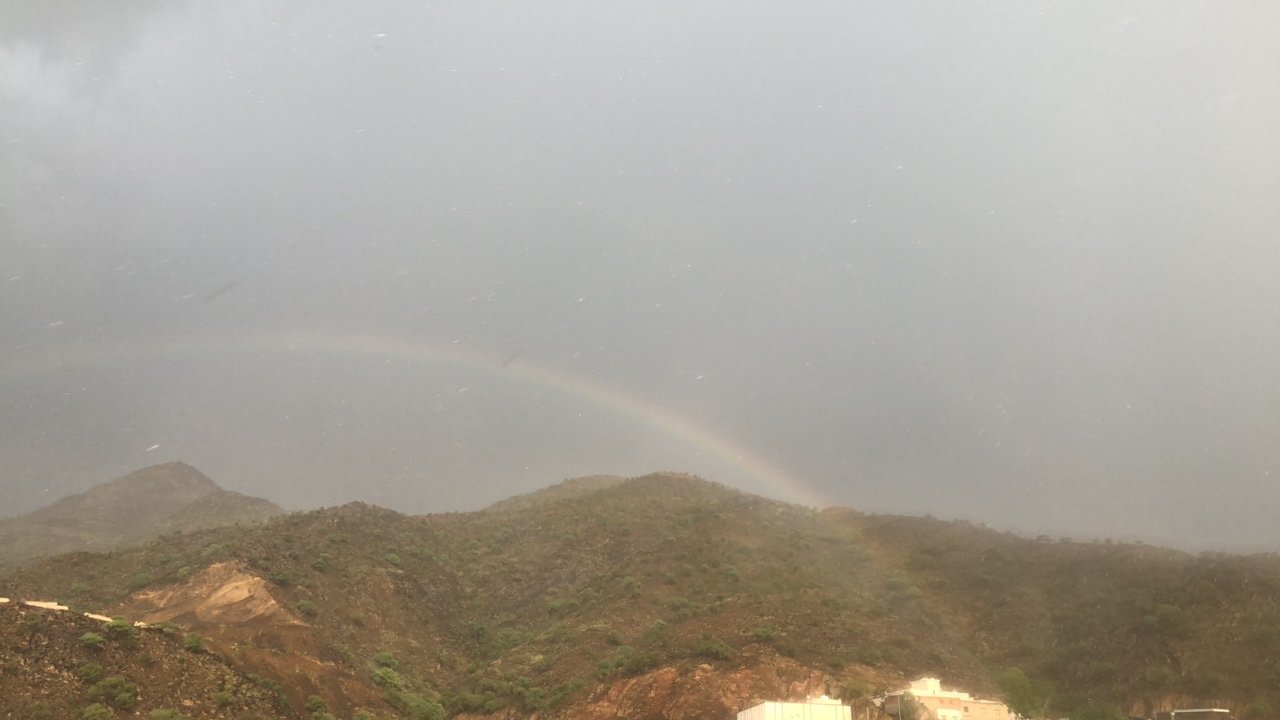 مشاركاتي في أنت الراصد