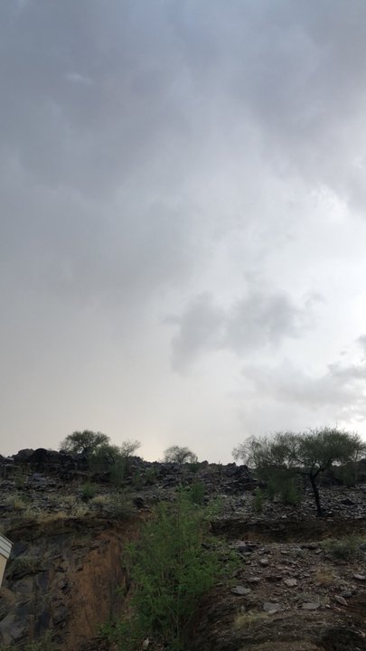 مشاركاتي في أنت الراصد