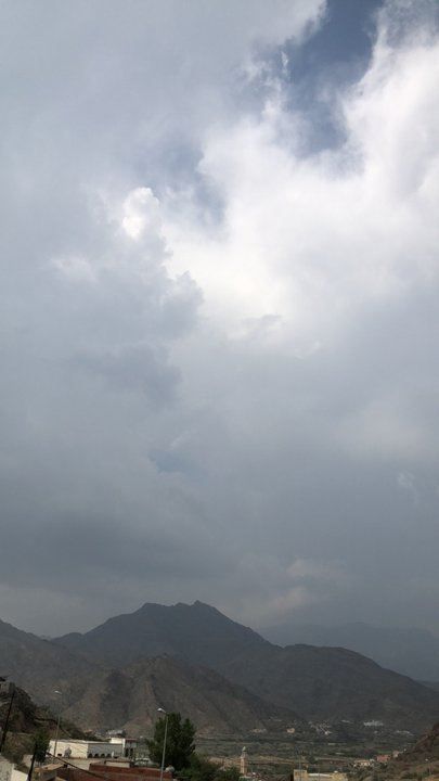 مشاركاتي في أنت الراصد