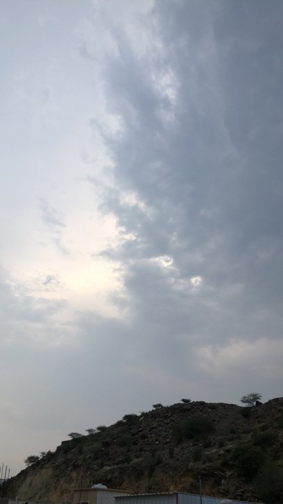 مشاركاتي في أنت الراصد