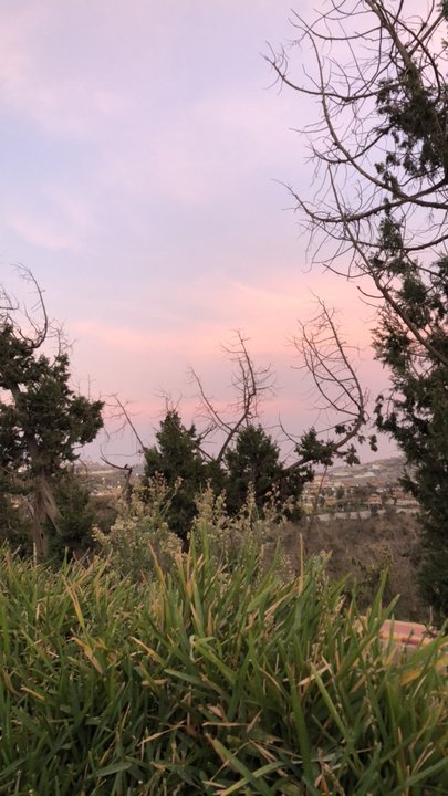 مشاركاتي في أنت الراصد