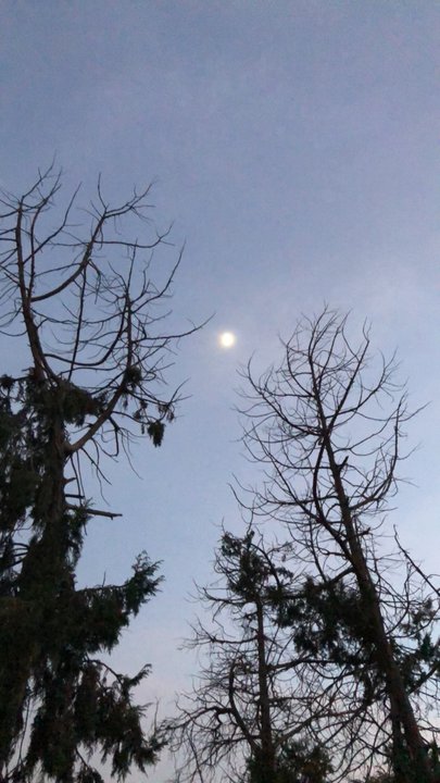 My Crowdsourcing Posts