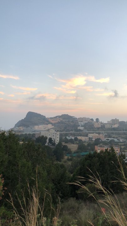 مشاركاتي في أنت الراصد