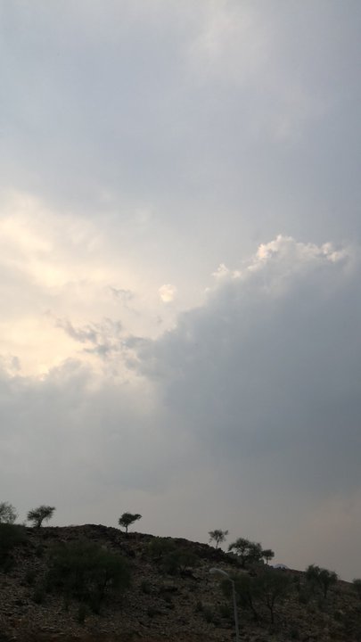 مشاركاتي في أنت الراصد