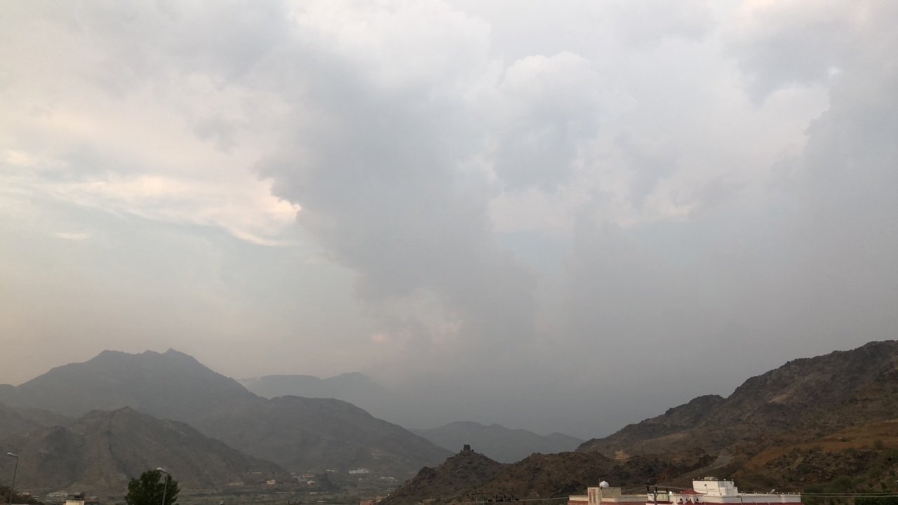 مشاركاتي في أنت الراصد