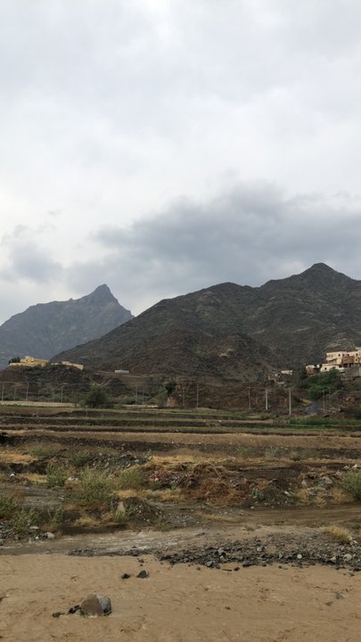 مشاركاتي في أنت الراصد