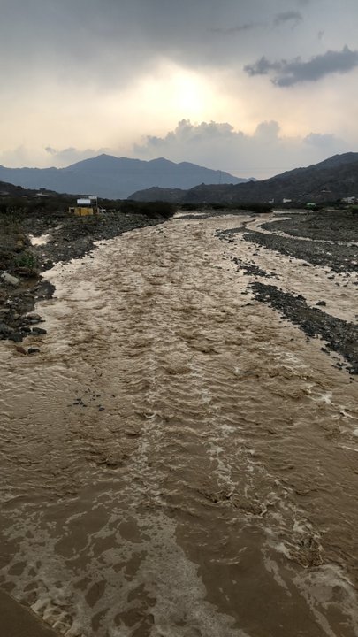 مشاركاتي في أنت الراصد