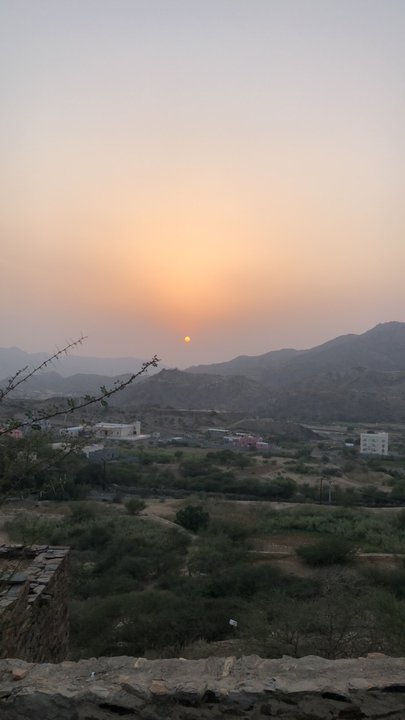 مشاركاتي في أنت الراصد