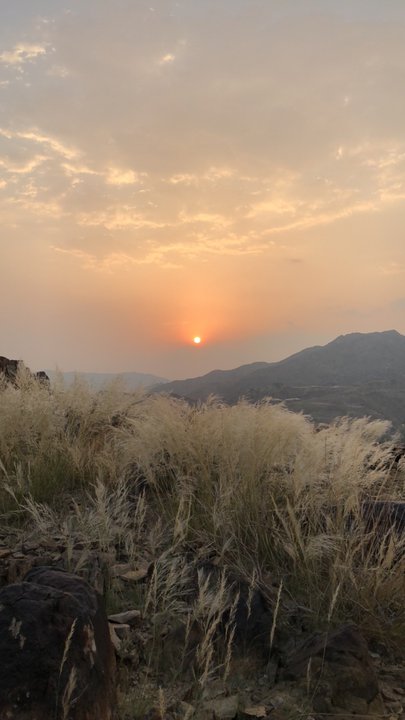 مشاركاتي في أنت الراصد